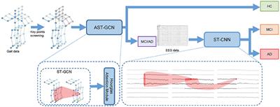 Alzheimer's Disease Classification With a Cascade Neural Network